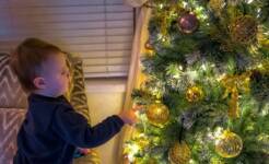 Norman Hobson - My Grandson discovering the wonder of Christmas